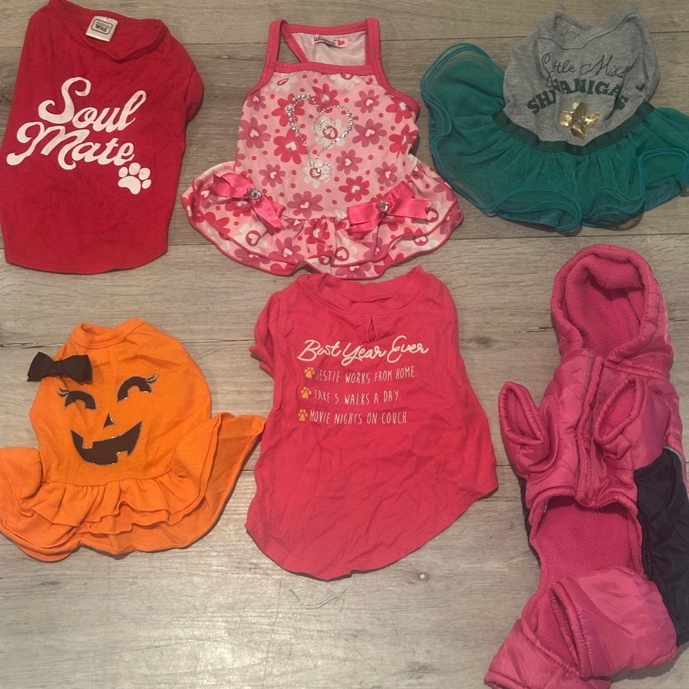 Colorful Puppy Dog clothes.
